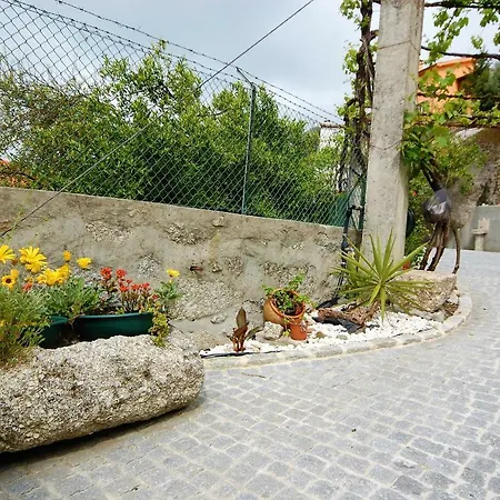 Casa Da Ramada - Water Tank With Running Natural Spring Water - By Bedzy * Braga